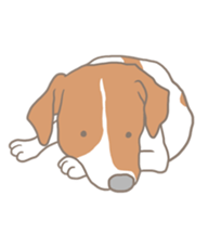 Jack Russell Terrier MIRO sticker #5977493