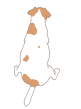 Jack Russell Terrier MIRO sticker #5977498