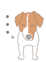Jack Russell Terrier MIRO sticker #5977500