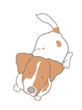 Jack Russell Terrier MIRO sticker #5977501
