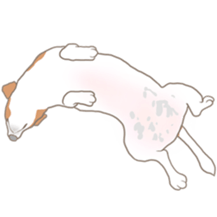 Jack Russell Terrier MIRO sticker #5977502