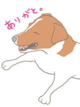 Jack Russell Terrier MIRO sticker #5977505