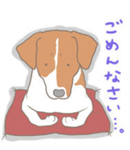 Jack Russell Terrier MIRO sticker #5977508