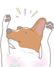 Jack Russell Terrier MIRO sticker #5977509