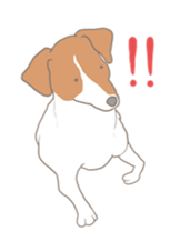 Jack Russell Terrier MIRO sticker #5977512