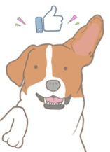 Jack Russell Terrier MIRO sticker #5977514
