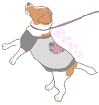 Jack Russell Terrier MIRO sticker #5977517