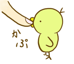 edamame' color little bird sticker #5979497