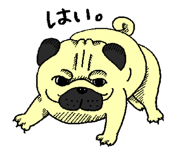 pug's sticker sticker #5979781