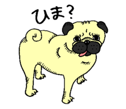 pug's sticker sticker #5979784