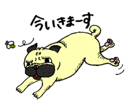 pug's sticker sticker #5979795