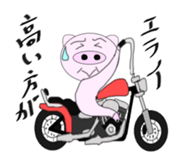 The pig began to ride a motorcycle sticker #5981009