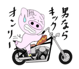 The pig began to ride a motorcycle sticker #5981018