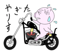 The pig began to ride a motorcycle sticker #5981025