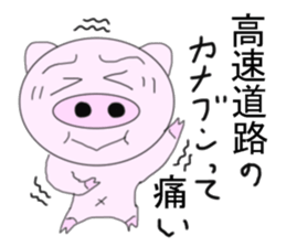 The pig began to ride a motorcycle sticker #5981026