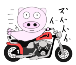 The pig began to ride a motorcycle sticker #5981029