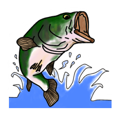 BASS anglers language