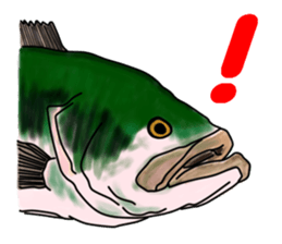 BASS anglers language sticker #5982320