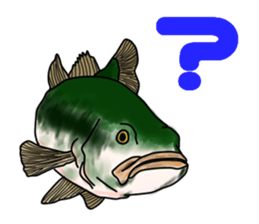 BASS anglers language sticker #5982321