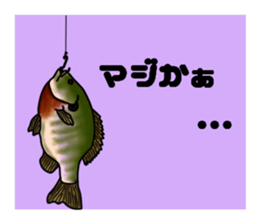 BASS anglers language sticker #5982323