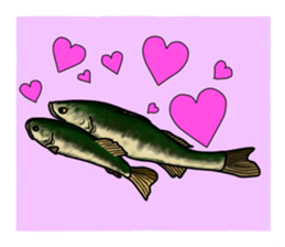 BASS anglers language sticker #5982325