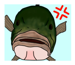 BASS anglers language sticker #5982326