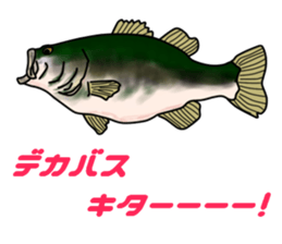 BASS anglers language sticker #5982330