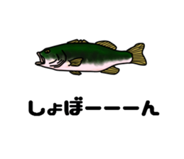 BASS anglers language sticker #5982331