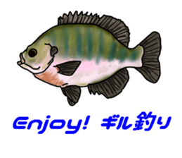 BASS anglers language sticker #5982333