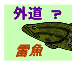 BASS anglers language sticker #5982338