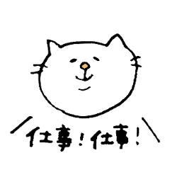 Cat daily to work in the company.