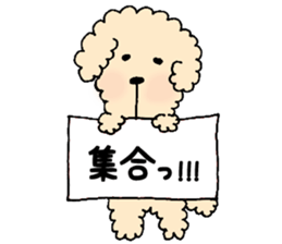 VOLLEYBALL PLAYER KIMURA SAORI STICKER sticker #5989620