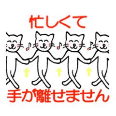 White cat "Sabao Mr."