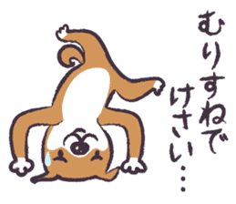 Dog John-ta speak in Sendai dialect. -3- sticker #5996339