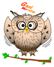 Lucky owl sticker #5997406