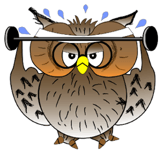 Lucky owl sticker #5997418