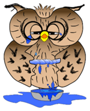 Lucky owl sticker #5997424
