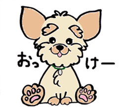 Muffin (Yorkshire Terrier) sticker #5999104
