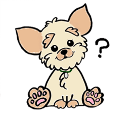 Muffin (Yorkshire Terrier) sticker #5999107