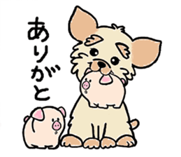 Muffin (Yorkshire Terrier) sticker #5999109