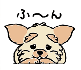 Muffin (Yorkshire Terrier) sticker #5999110