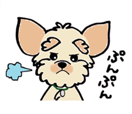 Muffin (Yorkshire Terrier) sticker #5999111