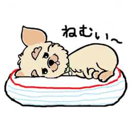 Muffin (Yorkshire Terrier) sticker #5999112