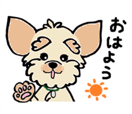 Muffin (Yorkshire Terrier) sticker #5999114