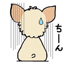 Muffin (Yorkshire Terrier) sticker #5999117