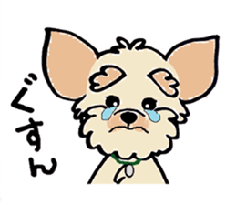 Muffin (Yorkshire Terrier) sticker #5999123