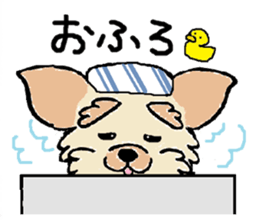 Muffin (Yorkshire Terrier) sticker #5999124