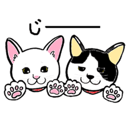 Muffin (Yorkshire Terrier) sticker #5999130