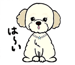 Muffin (Yorkshire Terrier) sticker #5999131