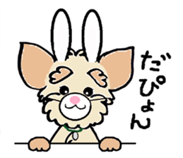 Muffin (Yorkshire Terrier) sticker #5999134